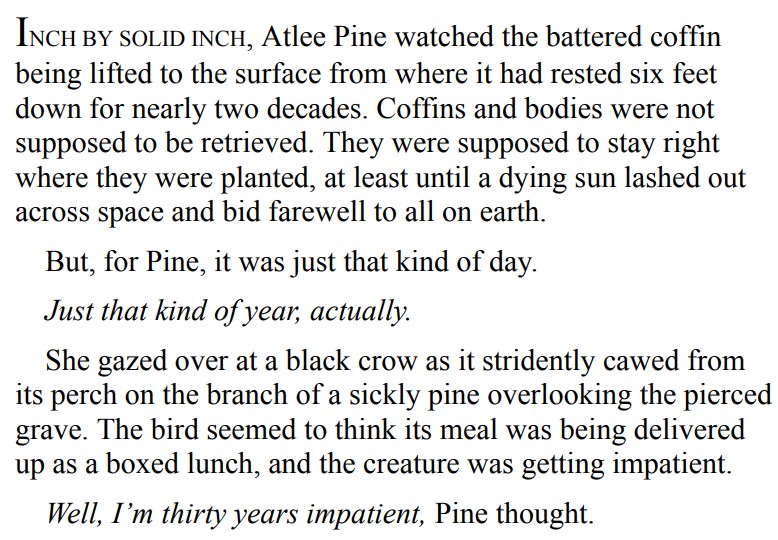 Mercy by David Baldacci 