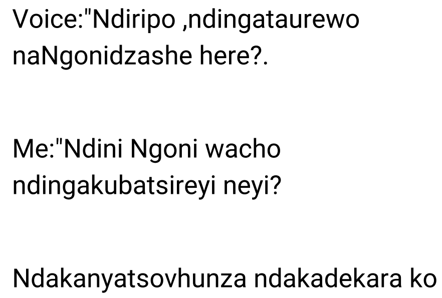 NGONIE THE GARDEN BOY by Vincent PDF