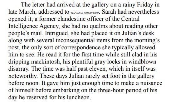 Portrait of an Unknown Woman by Daniel Silva