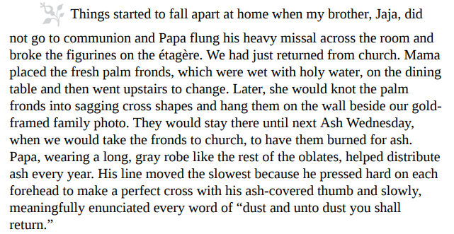 Purple Hibiscus by Chimamanda Ngozi Adichie 