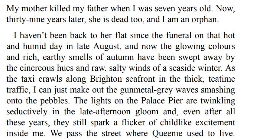 Queenie Malone’s Paradise Hotel by Ruth Hogan 