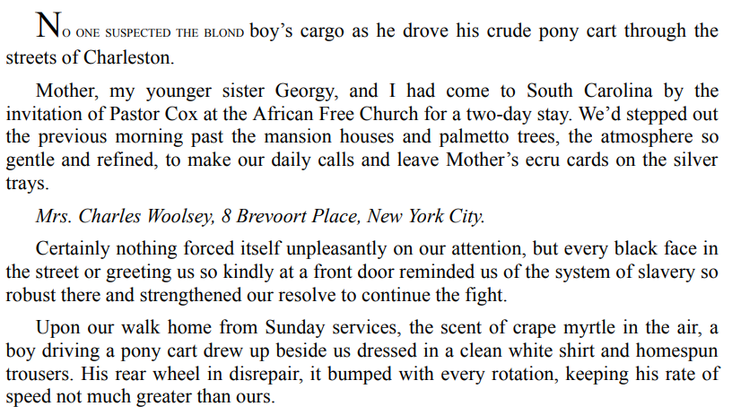 Sunflower Sisters by Martha Hall Kelly 