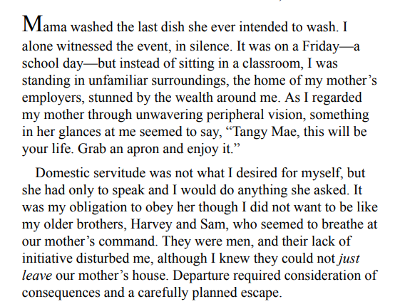 The Darkest Child by Delores Phillips PDF