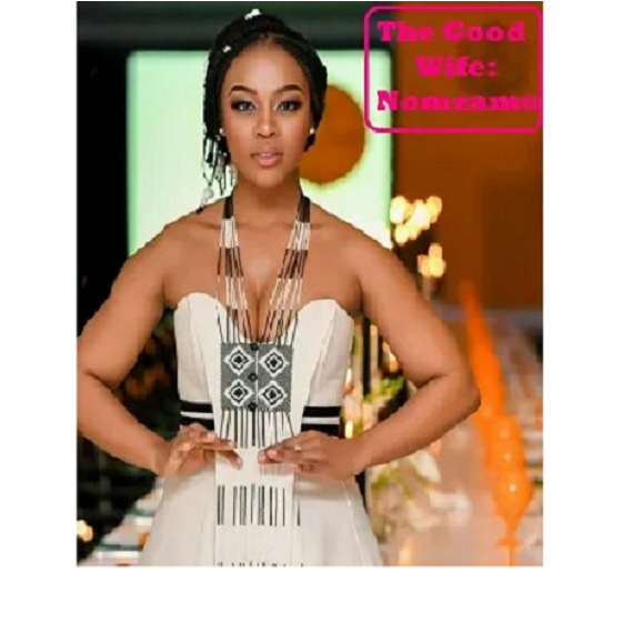 The Good Wife Nomzamo 