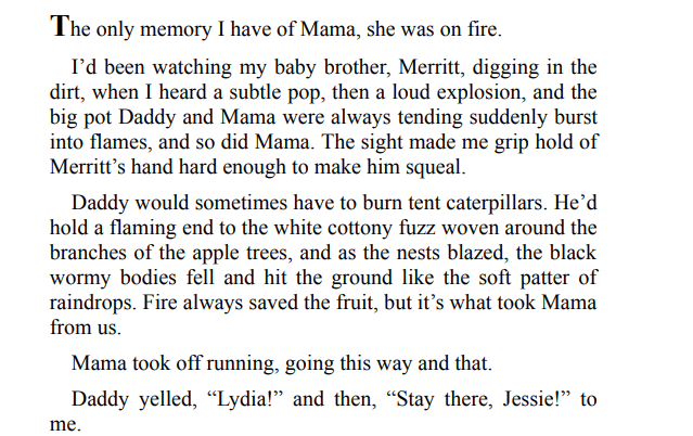 The Moonshiner's Daughter by Donna Everhart PDF