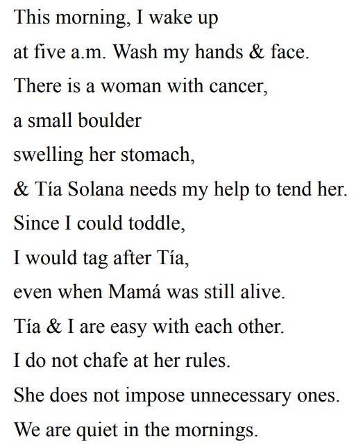 Clap When You Land by Elizabeth Acevedo