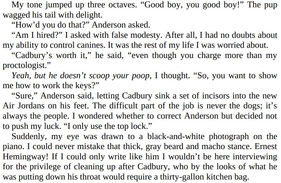 How To Judge A Book By Its Lover by Jessica Jiji