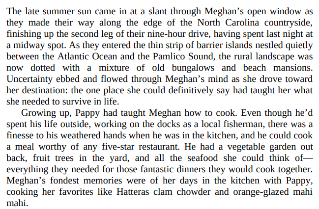 An Island Summer by Jenny Hale 