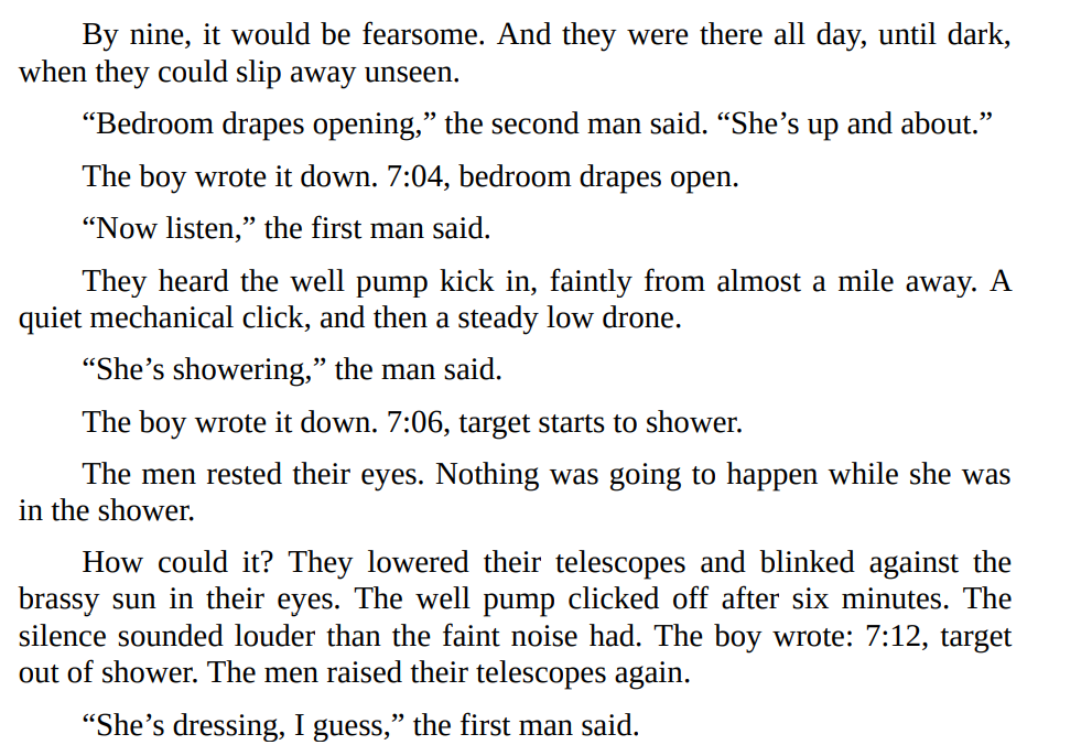 Echo Burning by Lee Child 