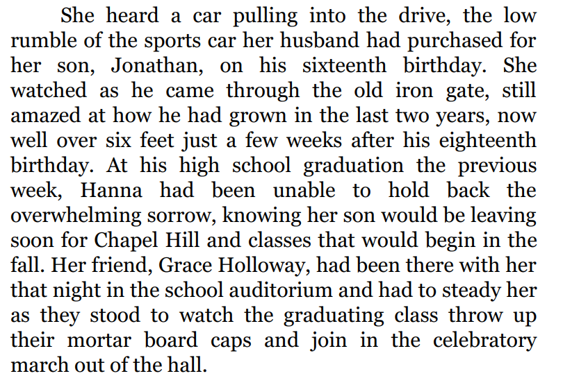 LIES WE NEVER SEE by Michael Lindley 