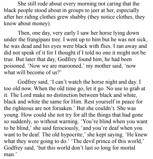 Wide Sargasso Sea by Jean Rhys 