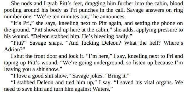 When He’s Bad by Lisa Renee Jones