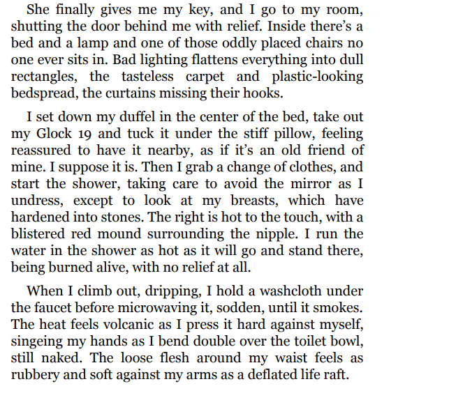 When the Stars Go Dark by Paula McLain