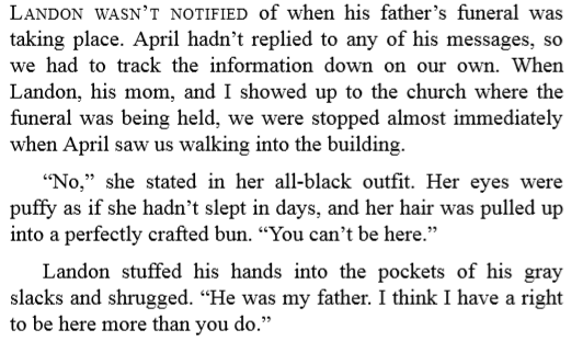 Landon & Shay by Brittainy Cherry 