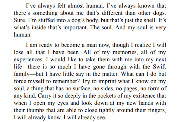 The Art of Racing in the Rain by Garth Stein 