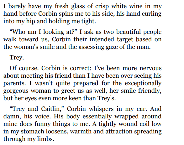 Fake Wife By Stacey Lynn 