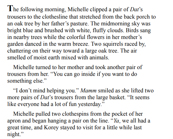 Building a Future by Amy Clipston