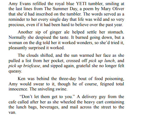 A Knight in Tarnished Armor by Cynthia Luhrs PDF