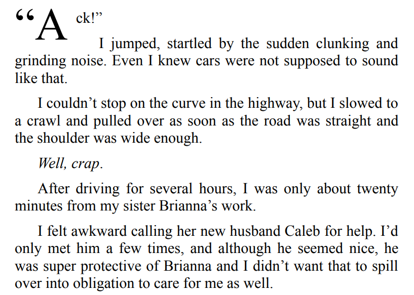 ADAM’S ANGEL BY HALEY TRAVIS 