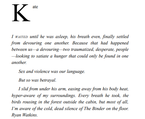 Captured by My Stepbrothers by AK Rose PDF