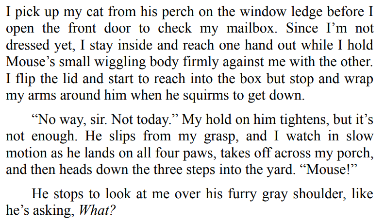 Catching Him by Aurora Rose Reynolds 