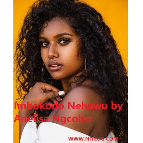 Imbokodo Nehawu by Anelisa Ngcobo