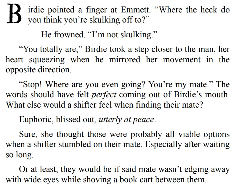 LIBRARIAN AND THE BEAR BY REBEL CARTER