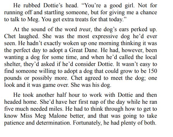 LOVE AT MEG’S DINER BY LARA VAN HULZEN ePub