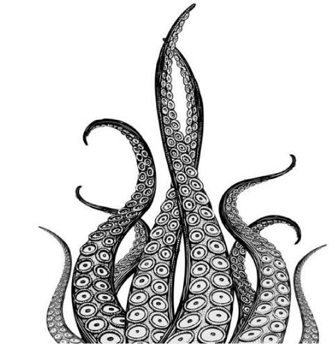 MARKOV BY J.P. SAYLE