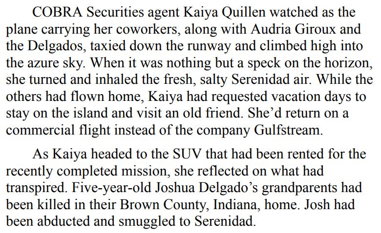 ON THE RUN BY VELVET VAUGHN