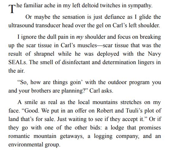 ONE MORE CHANCE BY STINA LINDENBLATT PDF