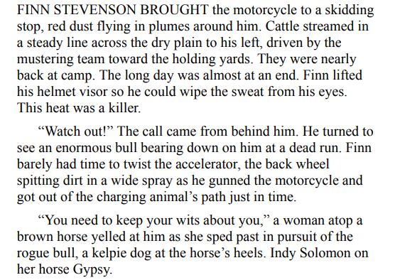 OUTBACK SKIES BY SUZANNE CASS PDF