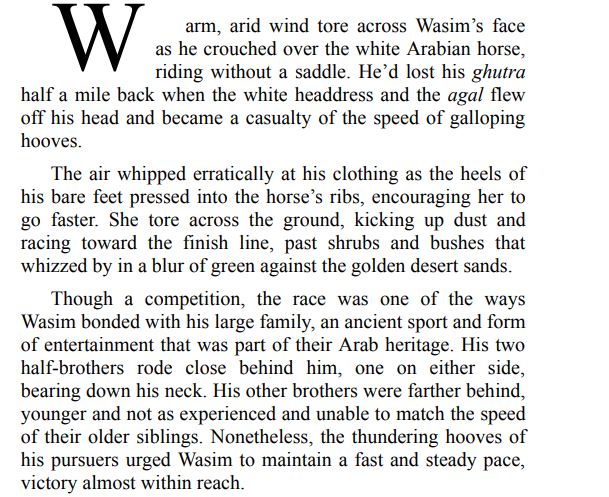 Queen of Barrakesch By Delaney Diamond PDF