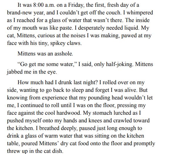 SOMEONE TO KISS BY JAMIE ANDERSON PDF