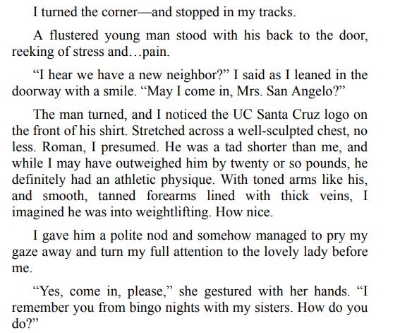 SUNDOWNERS BY R.L. MERRILL ePub