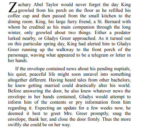 THE PARSON’S BRIDE BY LISA PRYSOCK PDF