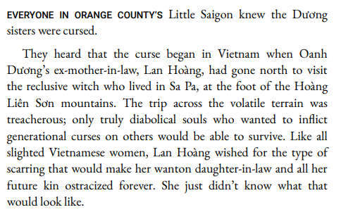 The Fortunes of Jaded Women by Carolyn Huynh PDF