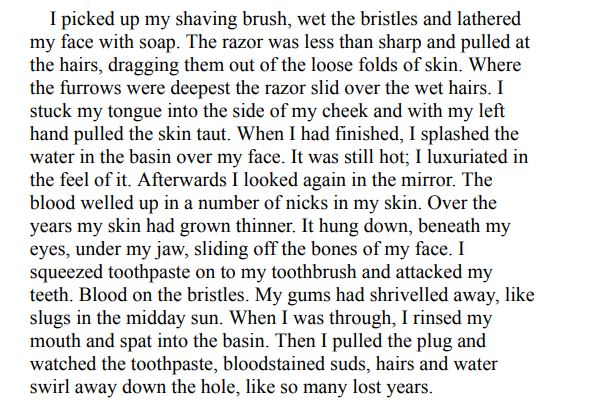 The Memory of Love By Aminatta Forna ePub