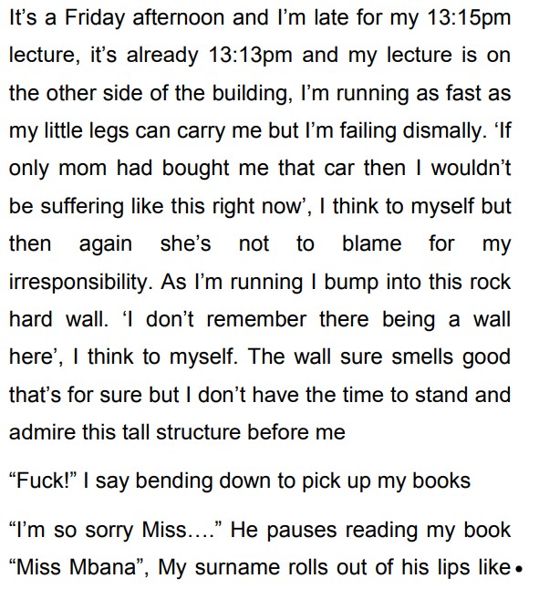 The Unplanned by Sandisiwe Gxaba