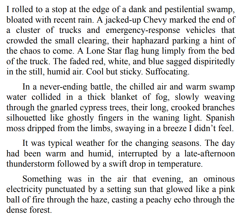 BURIED DECEPTION BY AMANDA MCKINNEY 