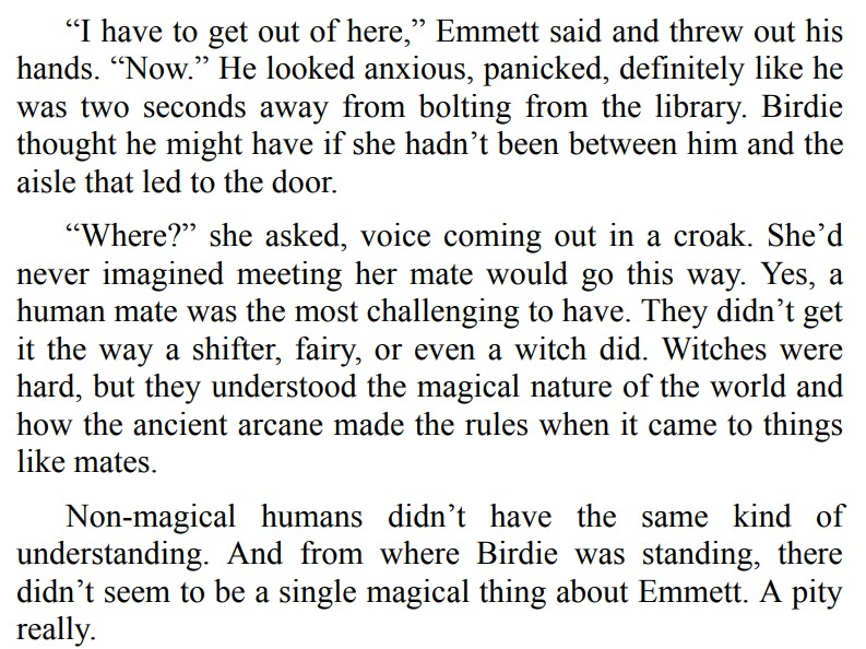 LIBRARIAN AND THE BEAR BY REBEL CARTER