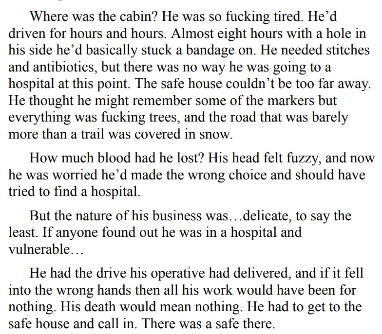 NO TIME TO LIE BY LEXI BLAKE