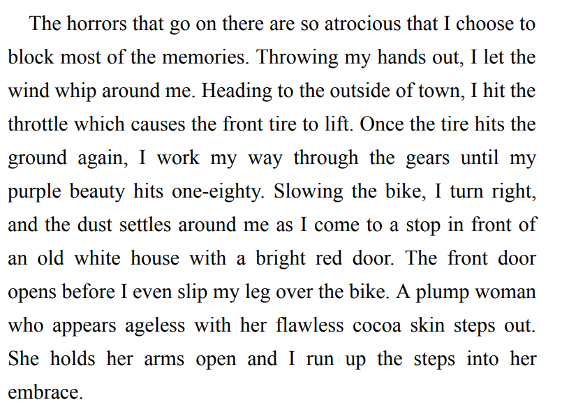 THE LAST DRAGON SLAYER BY S.A. MICHELLE