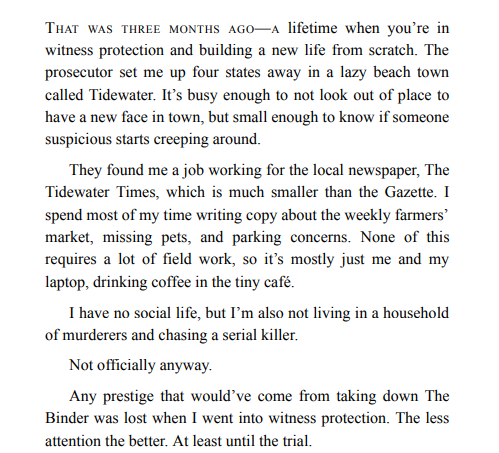 Captured by My Stepbrothers by AK Rose PDF