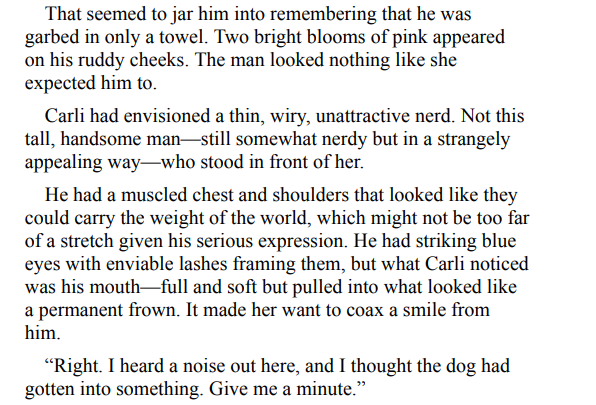 A LOT LIKE CHRISTMAS BY MICHELLE MAJOR