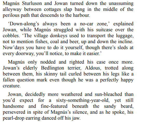 CHRISTMAS AT THE BORROW A BOOKSHOP BY KILEY DUNBAR 