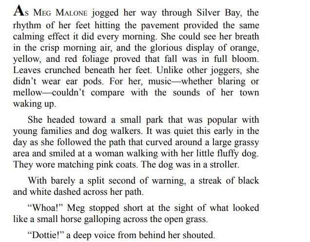 LOVE AT MEG’S DINER BY LARA VAN HULZEN 