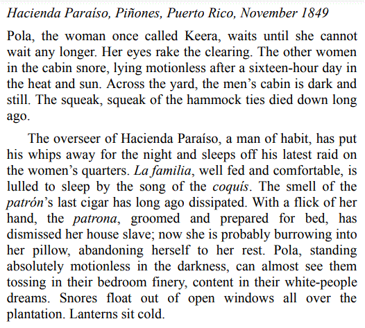 A Woman of Endurance by Dahlma Llanos-Figueroa 