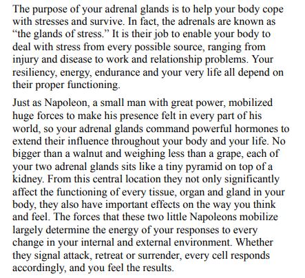 Adrenal Fatigue by James L. Wilson PDF