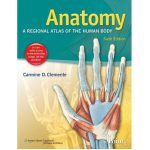 Anatomy by Carmine D. Clemente